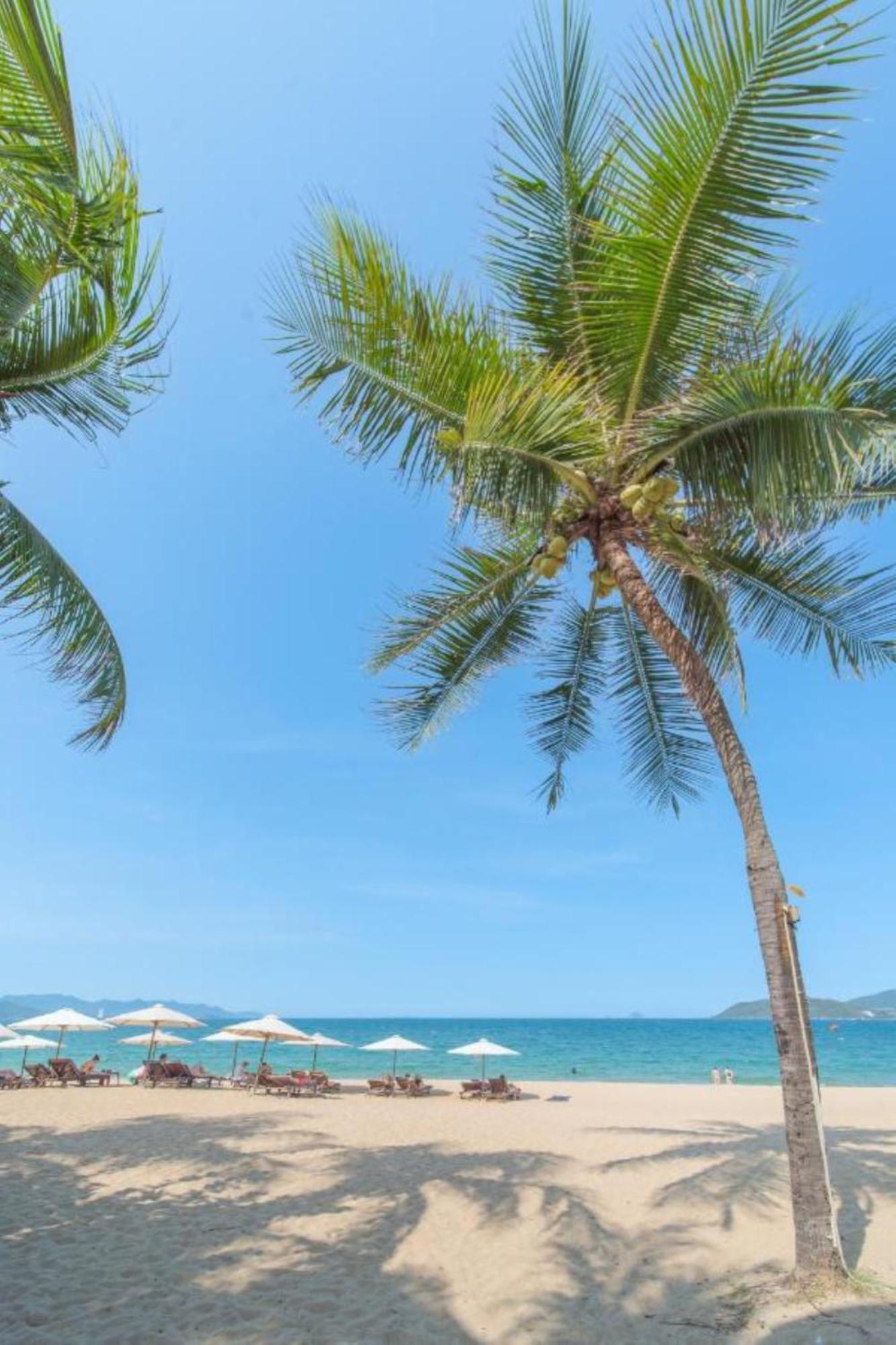 Nami Hotel Nha Trang Dış mekan fotoğraf